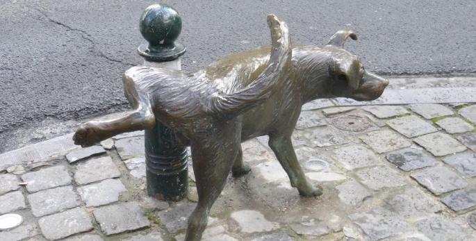 _images_sikajcy_pies_duzy3