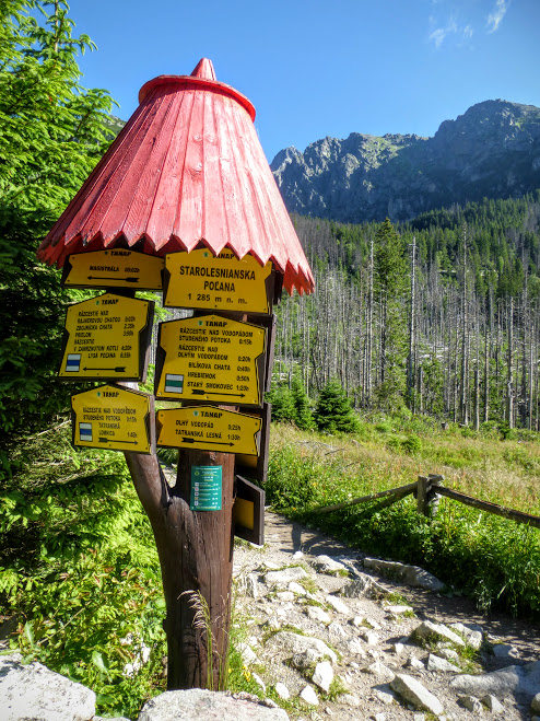 staroleśna polana