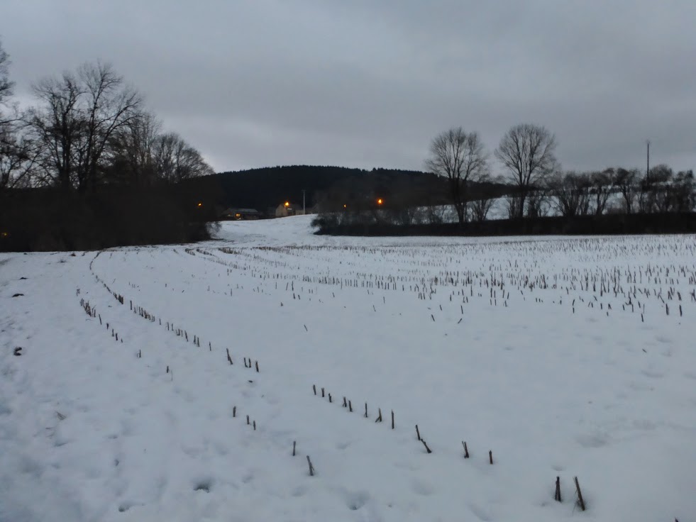 Trochę się jakby ściemnia...