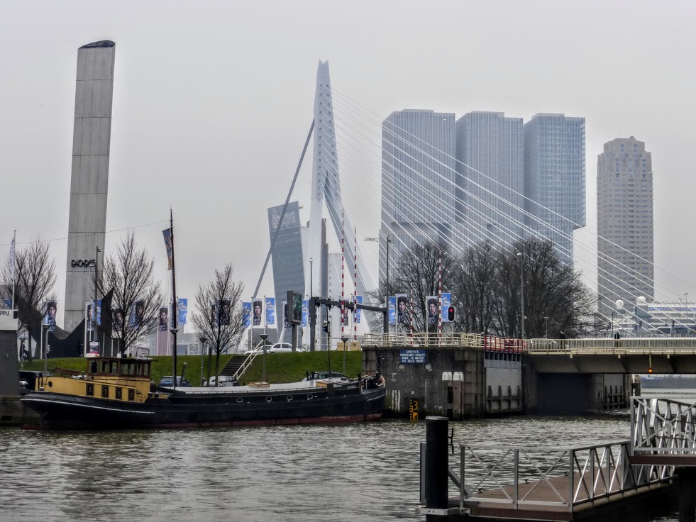 szary-Rotterdam.JPG