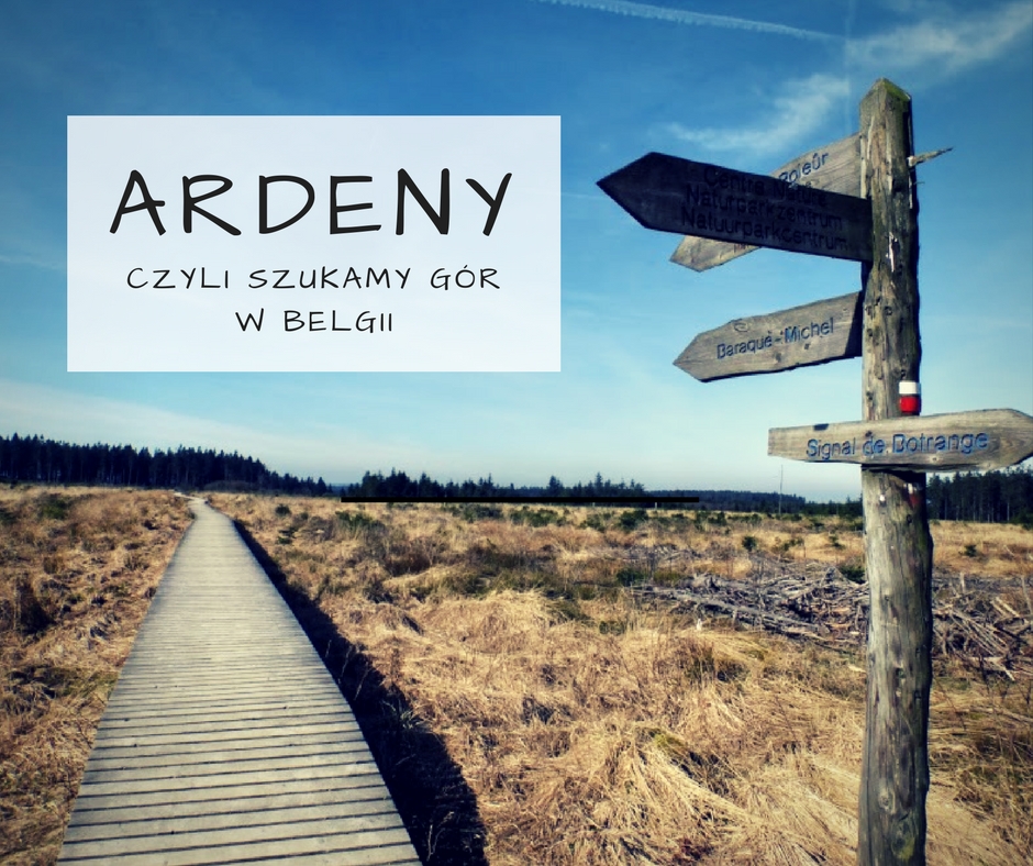 ardeny-szukamy-gor