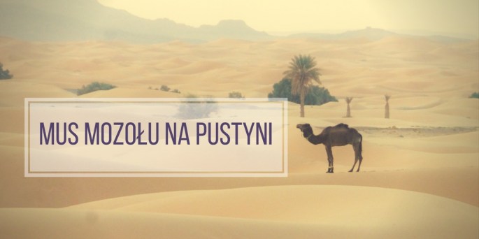 mus-mozolu-na-pustyni