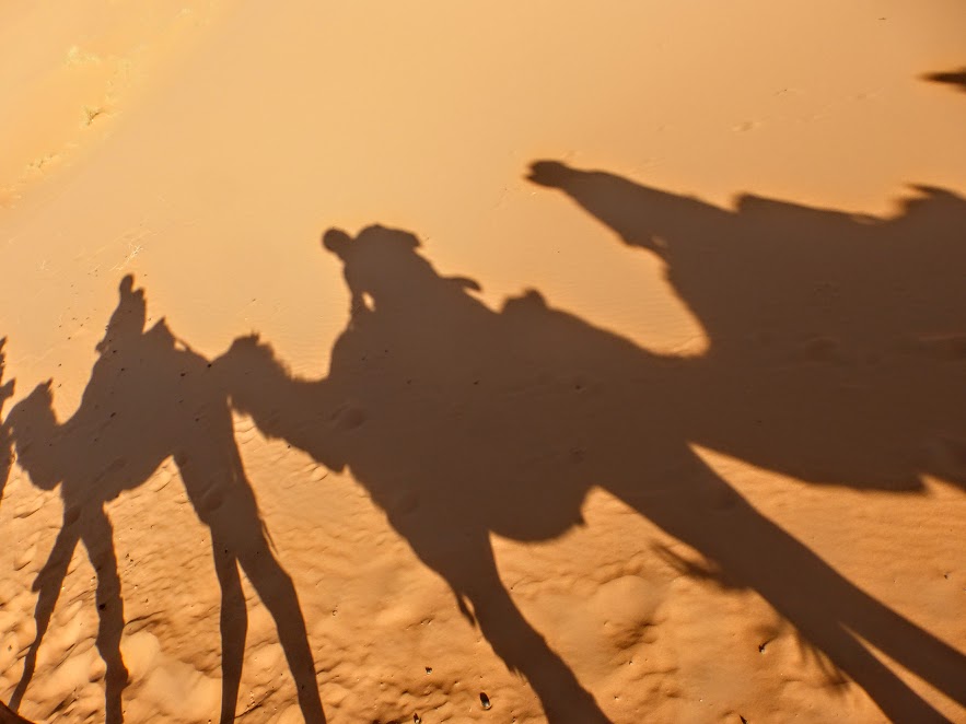 wycieczka-na-pustynie-wielblady