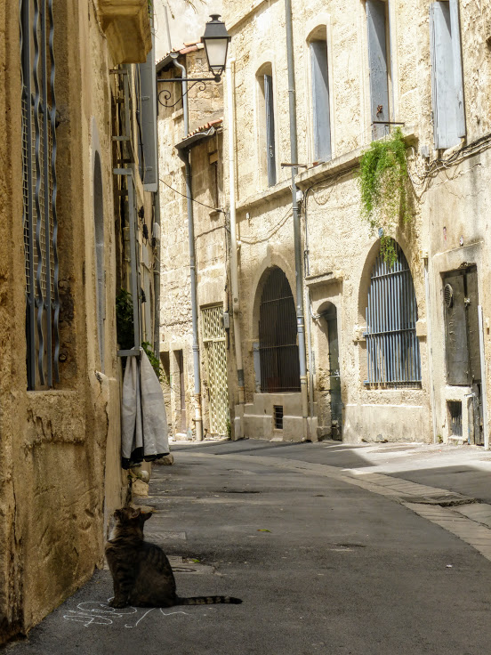 uliczki montpellier 2