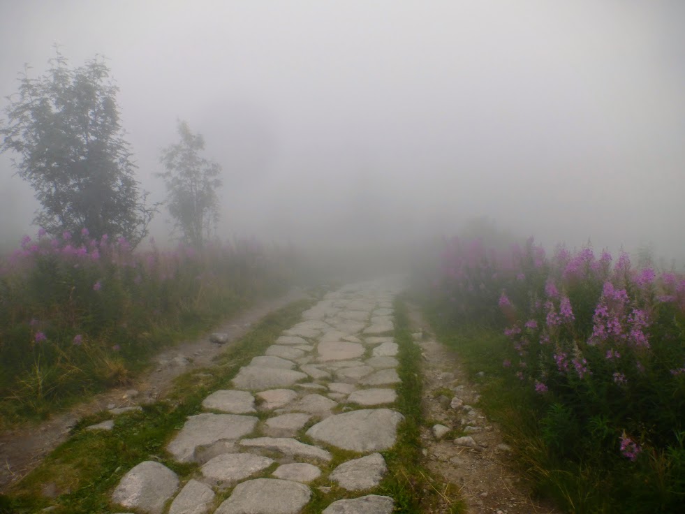 idziemy przed siebie