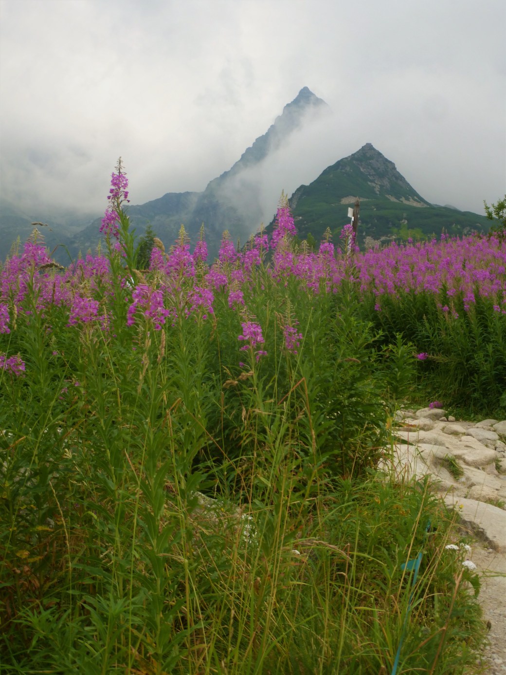 2. Kościelec - jeszcze go mniej więcej widać
