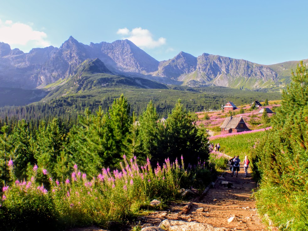 1. Dolina Gąsienicowa