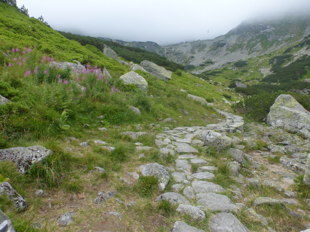4. W Zielonej Dolinie Gąsienicowej