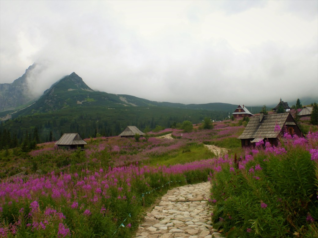 3. Hala Gąsienicowa