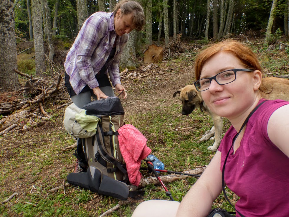 Spójrzcie tylko, jak nasz pies patrzy na plecak Moniki :)